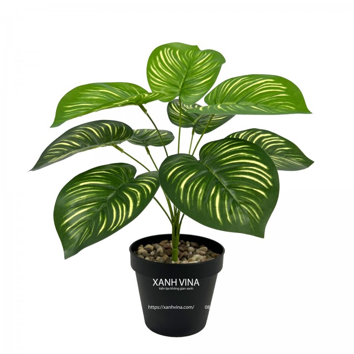 Cây giả để bàn cao 35cm - đuôi công